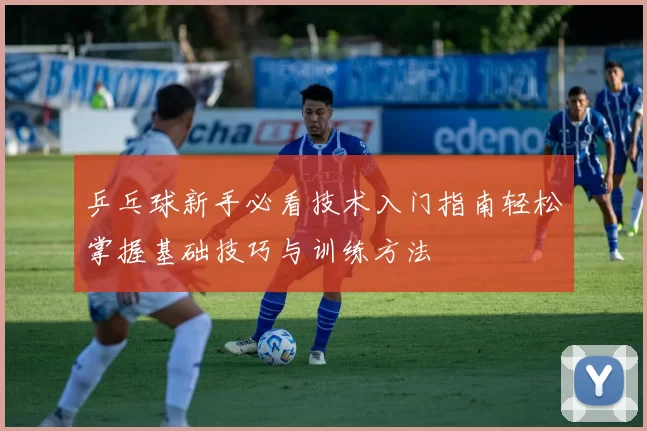 乒乓球新手必看技术入门指南轻松掌握基础技巧与训练方法